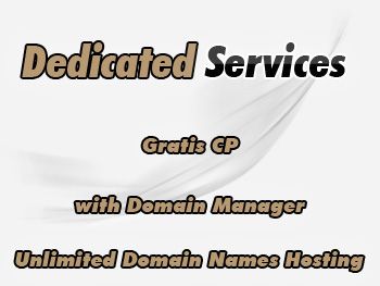 dedicated hosting service